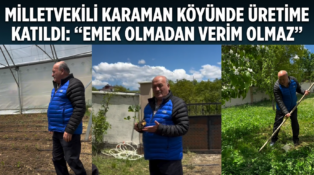 Milletvekili KARAMAN Köyünde Üretime Katıldı: “Emek Olmadan Verim Olmaz”