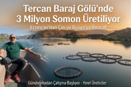 Tercan Baraj Gölü’nde 3 Milyon Somon Üretiliyor: Erzincan’dan Çin Ve Rusya’ya İhracat