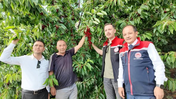 1.650 Rakımda Kiraz Hasadı: İl Müdürü Koçaker ve Kaymakam Hökelekli Üreticiyi Ziyaret Etti