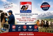 Erzincan İli Damızlık Sığır Yetiştiricileri Birliği’nden Üzümlü Köylerine Suni Tohumlama Hizmeti