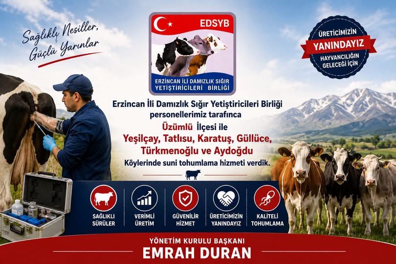 Erzincan İli Damızlık Sığır Yetiştiricileri Birliği’nden Üzümlü Köylerine Suni Tohumlama Hizmeti