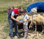 Erzincan Tulum Peyniri Üretimi Yaylalarda Tüm Doğallığıyla Sürüyor