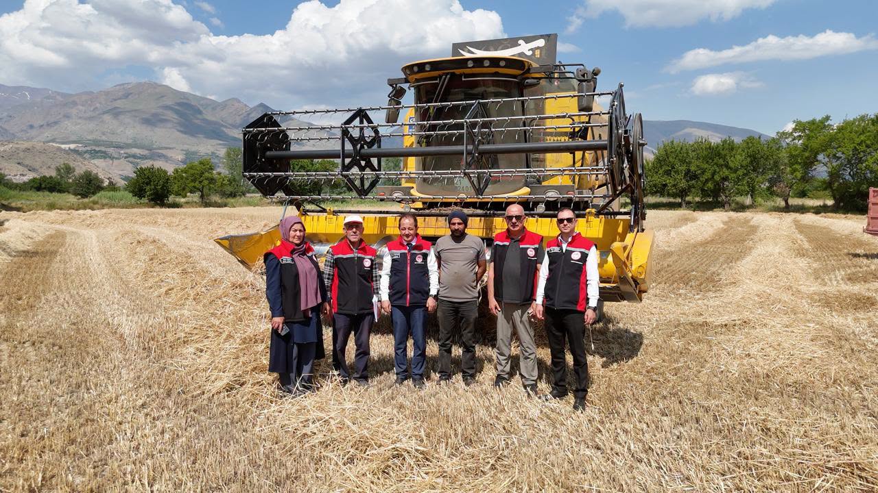 Erzincan’da Buğday Hasadı Sürüyor: Biçerdöver Denetimleri Aralıksız Devam Ediyor