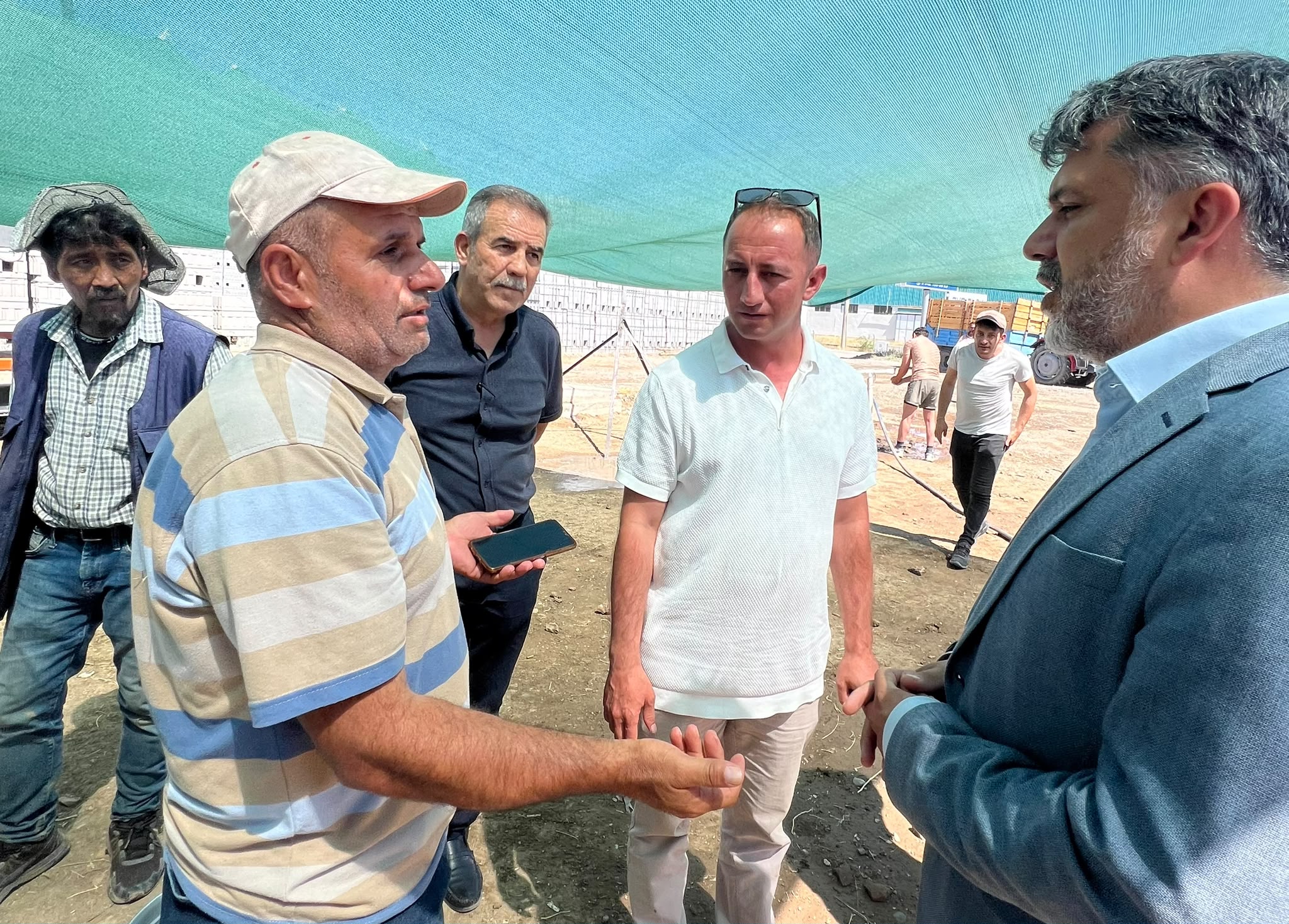 Erzincan’da Hasat Mesaisi Sürüyor: TMO Günlük 1.200 Ton Hububat Alıyor