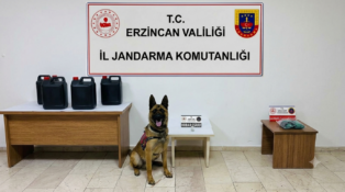 Erzincan’da Jandarmadan Haziran Bilançosu: 217 Olayın 213’ü Aydınlatıldı