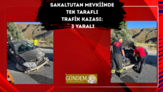 Sakaltutan Mevkiinde Tek Taraflı Trafik Kazası: 3 Yaralı
