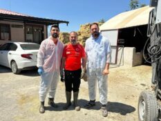 Üzümlü ve Köylerinde Büyükbaş Hayvanlara Tırnak Bakımı Hizmeti