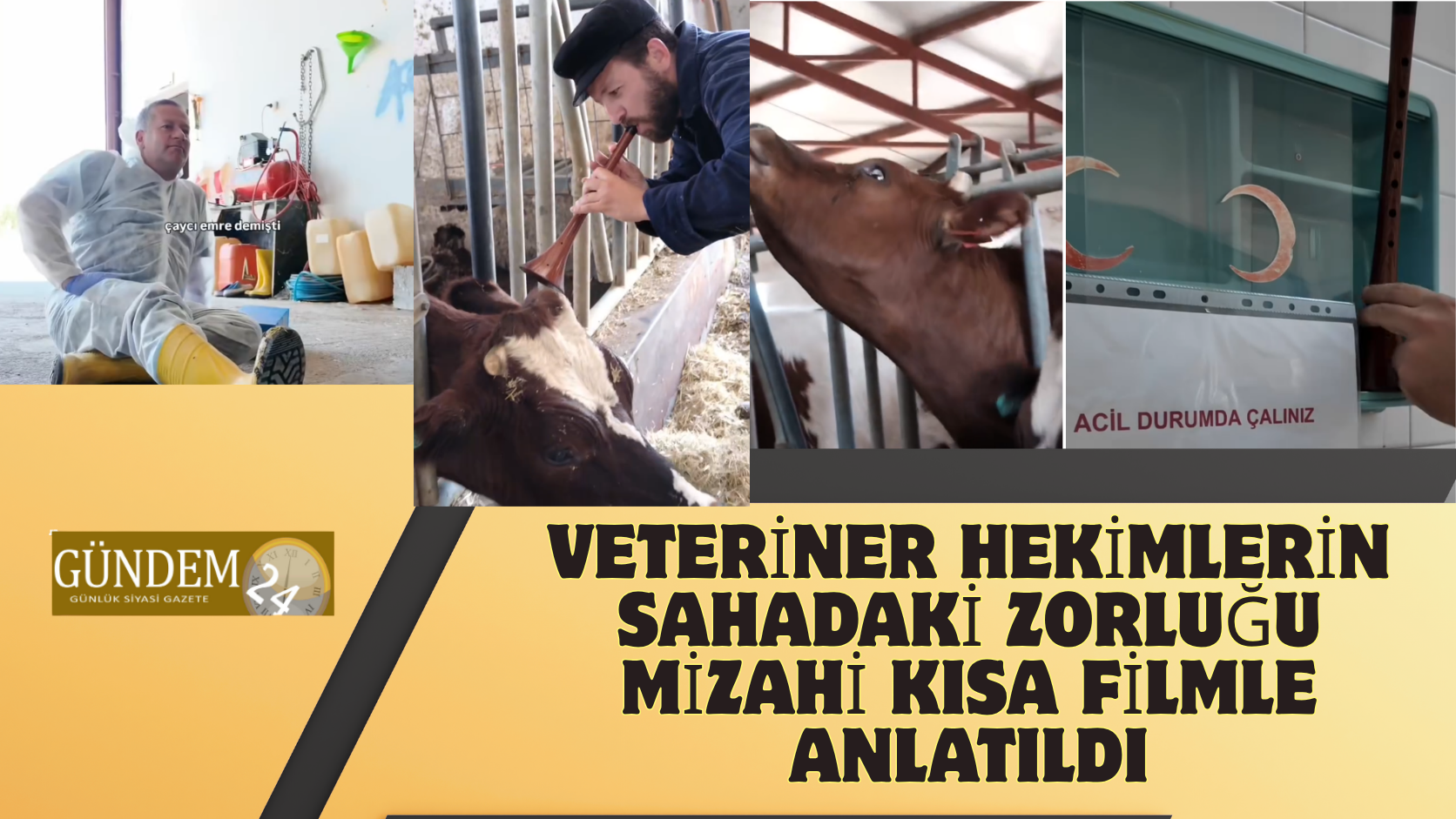 Veteriner Hekimlerin Sahadaki Zorluğu Mizahi Kısa Filmle Anlatıldı