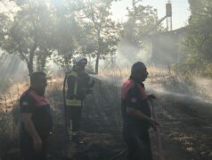 Barış Mahallesi’ndeki Arsa Yangını Büyümeden Kontrol Altına Alındı