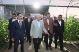 Çayırlı’da Binali Yıldırım Caddesi, Sera Alanları ve Turnaçayırı Barajı Sulaması Hizmete Alındı
