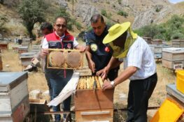 Erzincan’da Bal Hasadı Başladı: 1.500 Ton Rekolte Bekleniyor