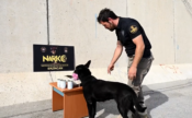 Narkotik Köpeği Naz, Erzincan Emniyet Müdürlüğü’ne Veda Etti