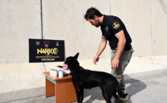 Narkotik Köpeği Naz, Erzincan Emniyet Müdürlüğü’ne Veda Etti