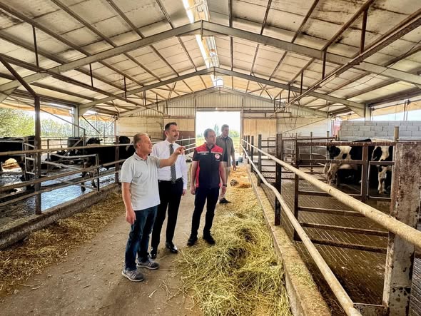 Üzümlü Kaymakamı Hökelekli’den Büyükbaş Hayvan Çiftliğine Ziyaret