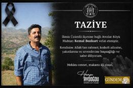 Vali Aydoğdu’dan Hayatını Kaybeden Muhtar Kemal Bozkurt İçin Taziye Mesajı