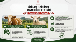 Büyükbaş ve Küçükbaş Hayvancılık Desteklemelerinde Başvurular Başladı