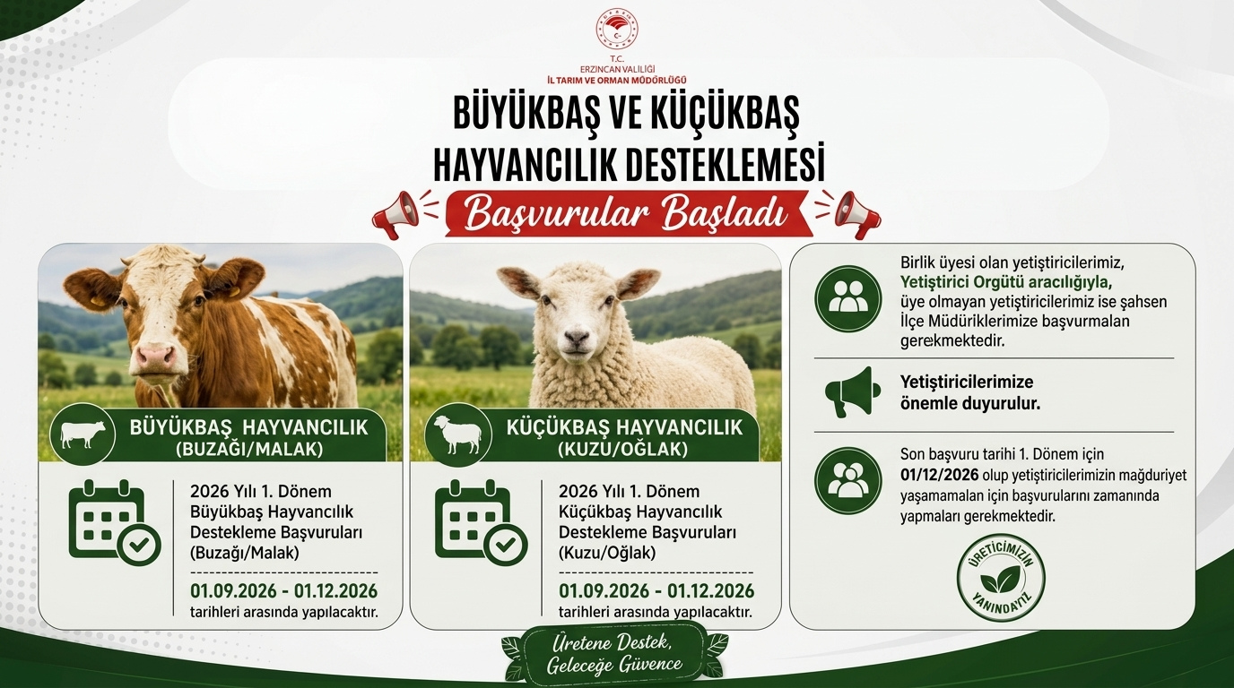 Büyükbaş ve Küçükbaş Hayvancılık Desteklemelerinde Başvurular Başladı