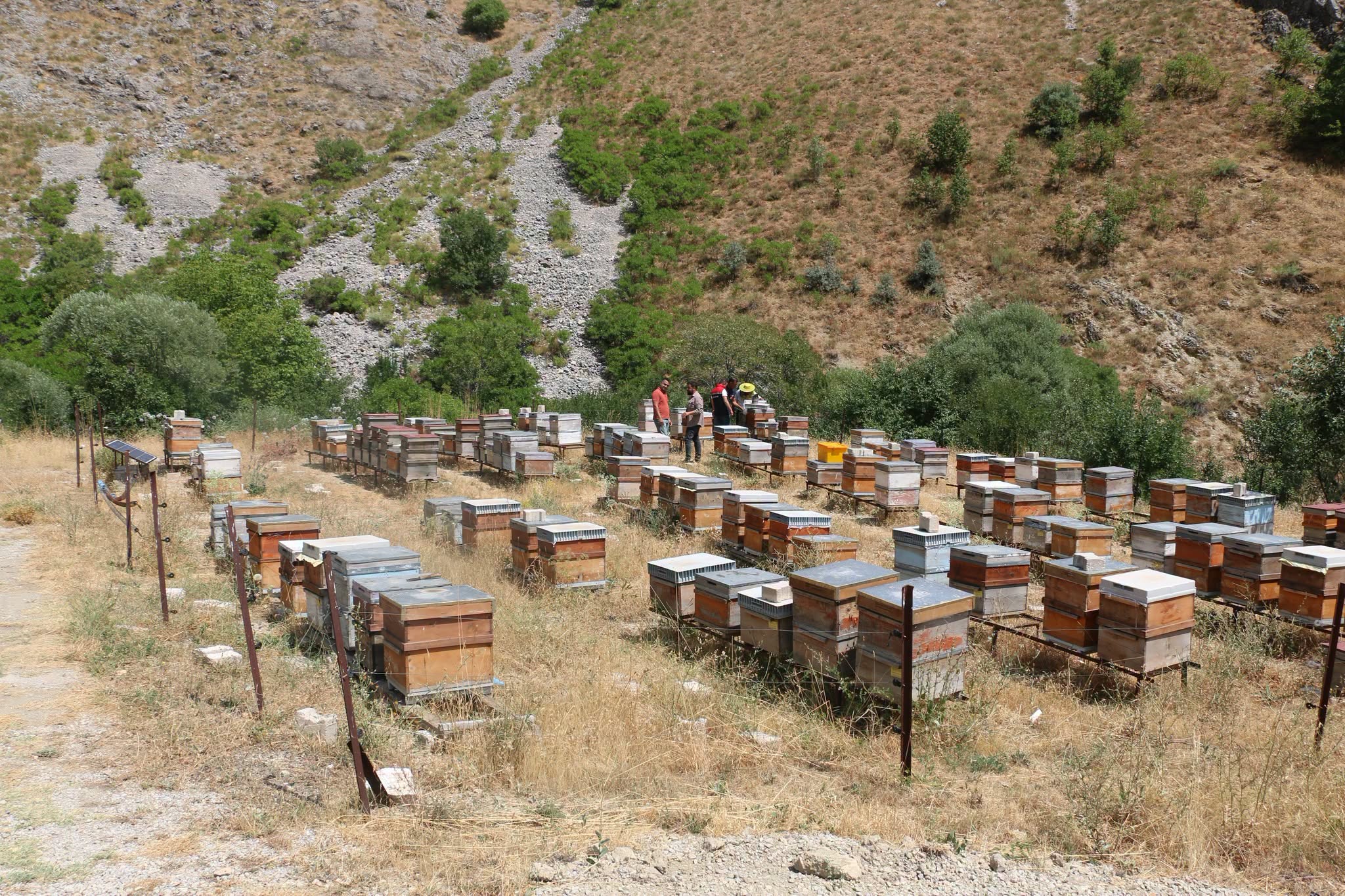 Arıcılık Destekleme Başvurularında Süre Uzatıldı