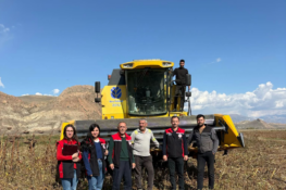 Erzincan’da Ayçiçeği Hasadına Sıkı Denetim