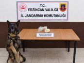 Erzincan’da Uyuşturucu Operasyonu